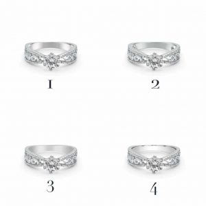 Jewelry Photo Retouching: How to Retouch the Back Shanks of the Rings