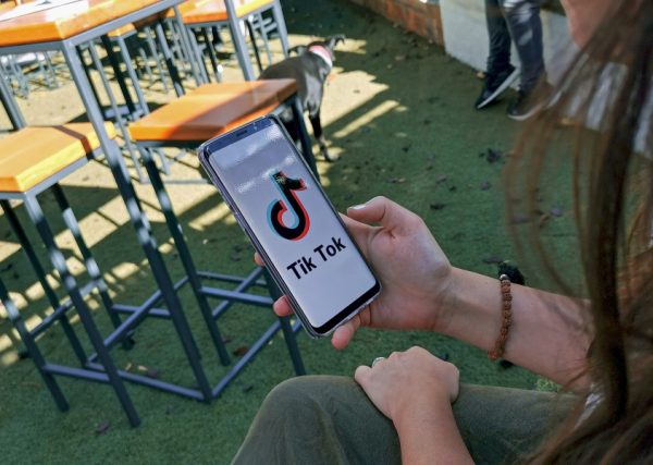 TikTok for Business Paid Advertisement