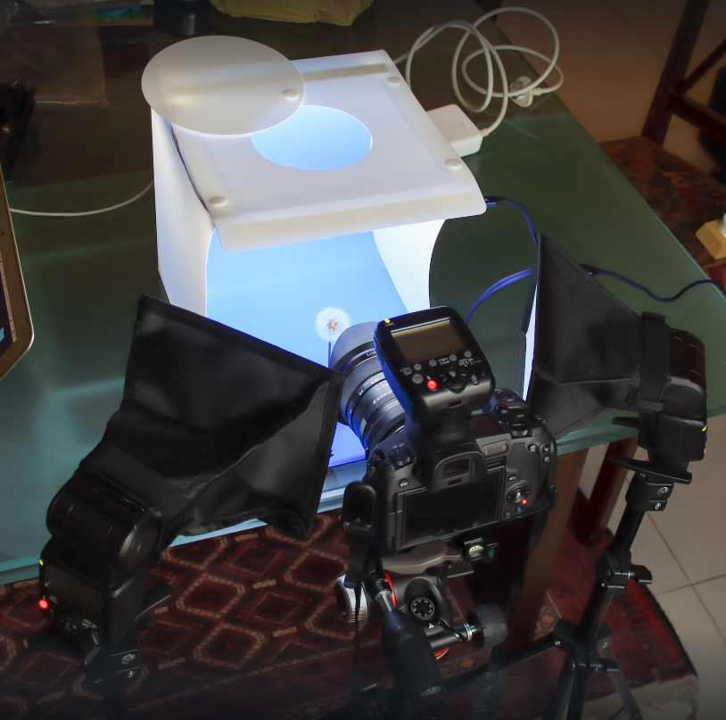 helps you setup with ease